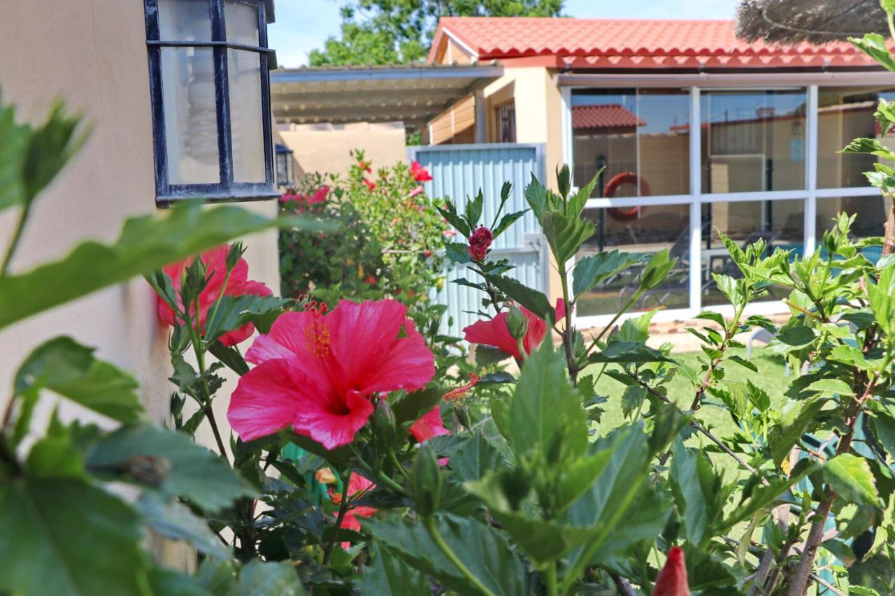 Bungalow Curro Pareja 97 Conil De La Frontera Εξωτερικό φωτογραφία